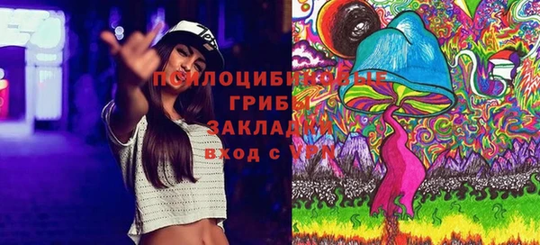 шишки Абдулино