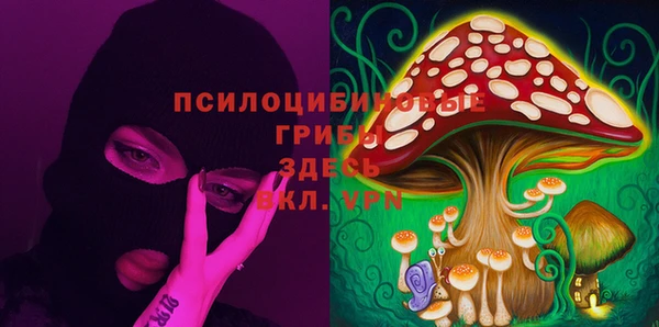 бутират Мегион